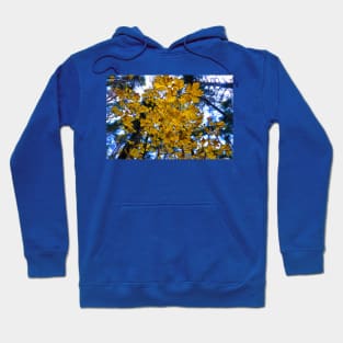 Yellow leaves Hoodie